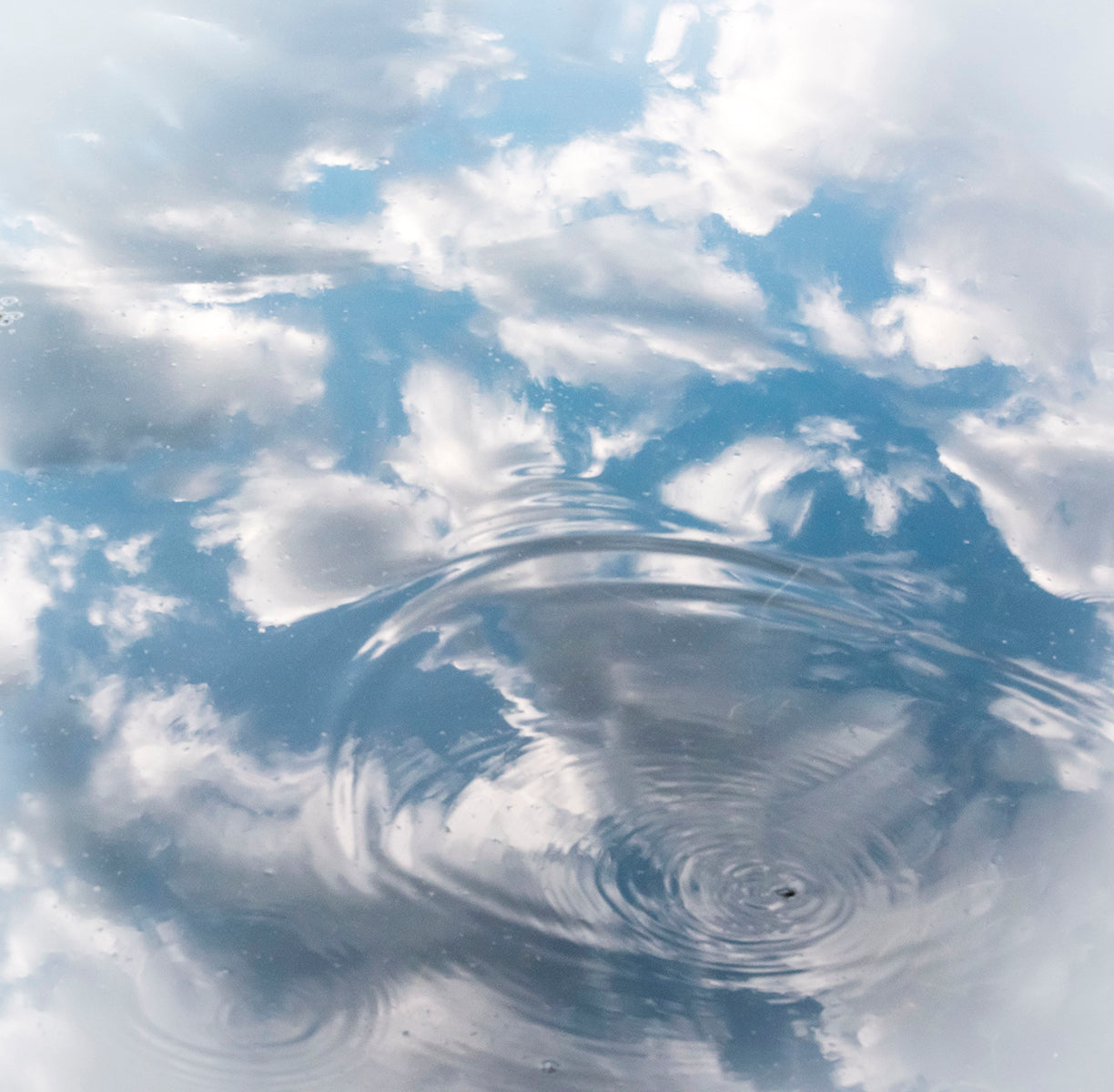 <i>Baby Blue Eyes</i> <br>Lac Perkins, Québec, Canada <br><br>GC0452